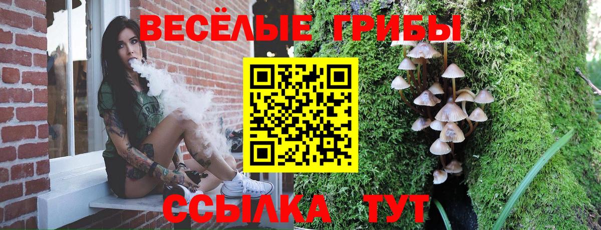 Троицк  Галлюциногенные грибы Psilocybe  Вход с VPN 