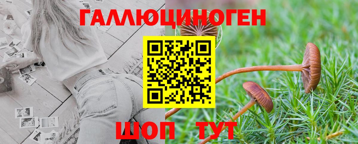 Псилоцибиновые грибы MAGIC MUSHROOMS Троицк